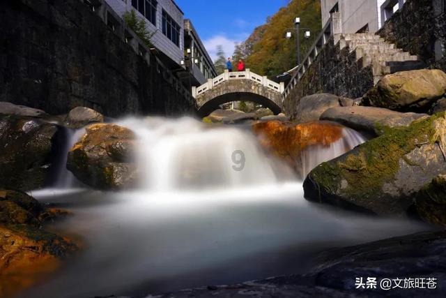 救援卡通老虎