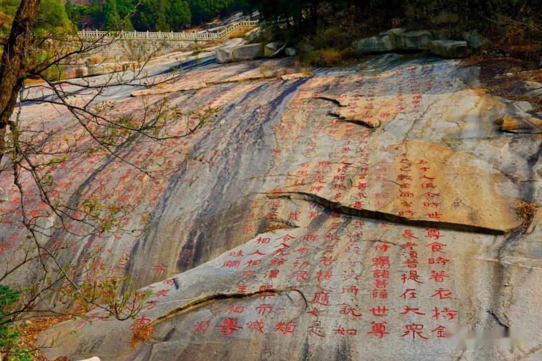 救援男孩与狗