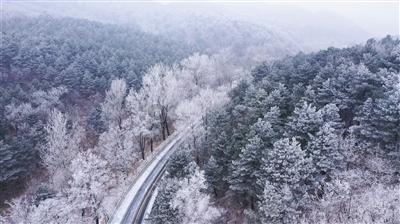 北京知名呼吸科专家张瑞利:肺结核治好了还会传染吗